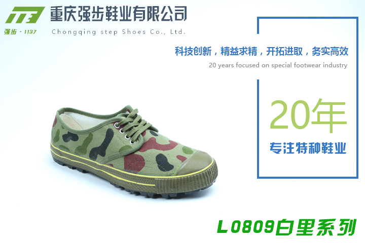 L0809系列-重慶強(qiáng)步