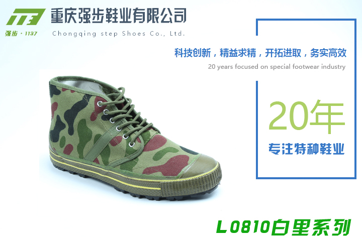 L0810系列-重慶強(qiáng)步