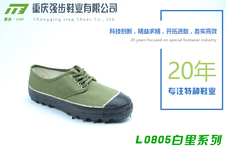 L0805系列-重慶強(qiáng)步