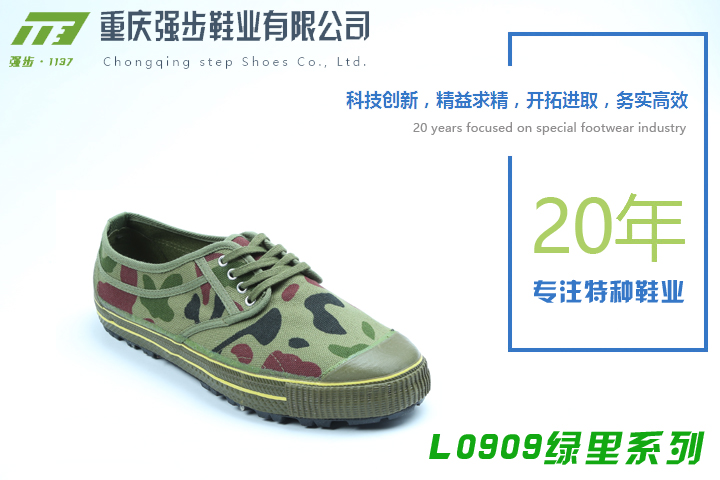 L0909系列-重慶強(qiáng)步